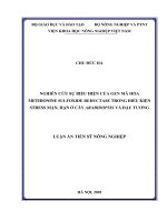 Nghiên cứu sự biểu hiện của gen mã hóa methionine sulfoxide reductase trong điều kiện stress mặn, hạn ở cây arabidopsis và đậu tương