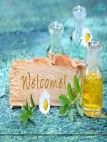 ĐÁNH GIÁ HIỆU QUẢ KINH tế sản XUẤT lúa BC15 TRÊN địa bàn xã bắc hải, HUYỆN TIỀN hải, TỈNH THÁI BÌNH 