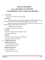 Giáo án Sinh học 7 bài 51: Đa dạng của lớp thú( tiếp theo) các bộ mống guốc và bộ linh trưởng