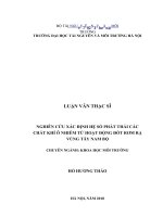 Nghiên cứu xác định hệ số phát thải các chất khí ô nhiễm từ hoạt động đốt rơm rạ vùng tây nam bộ 