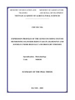 TÓM tắt TIÊNG ANH  nghiên cứu sự biểu hiện của gen mã hóa methionine sulfoxide reductase trong điều kiện stress mặn, hạn ở cây arabidopsis và đậu tương