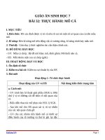 Giáo án Sinh học 7 bài 32: Thực hành mổ cá