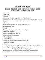 Giáo án Sinh học 7 bài 12: Một số giun dẹp khác và đặc điểm của ngành Giun dẹp