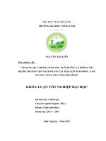 Áp dụng quy trình chăm sóc, nuôi dưỡng và phòng trị bệnh cho đàn lợn nái sinh sản tại trại lợn ngô hồng gấm   huyện lương sơn   tỉnh hòa bình 