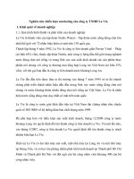  nghiên cứu chiến lược marketing của công ty TNHH la vie 