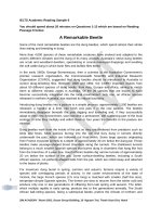 IELTS academic reading 6 