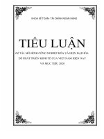 Đề tài Mô hình CNH  HĐH để phát triển kinh tế của Việt Nam hiện nay và mục tiêu 2020