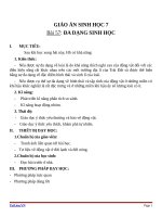 Giáo án Sinh học 7 bài 57: Đa dạng sinh học