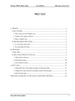 Phát triển tư duy tích cực, sáng tạo của học sinh khá, giỏi thông qua việc xây dựng, khái quát và mở rộng các bài toán số học 