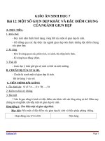 Giáo án Sinh học 7 bài 12: Một số giun dẹp khác và đặc điểm của ngành Giun dẹp