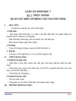 Giáo án Sinh học 7 bài 3: Thực hành quan sát một số động vật nguyên sinh