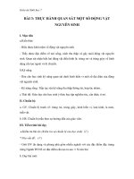 Giáo án Sinh học 7 bài 3: Thực hành quan sát một số động vật nguyên sinh