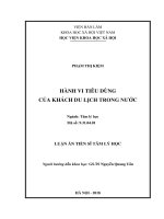 Hành vi tiêu dùng của khách du lịch trong nước (LA tiến sĩ)