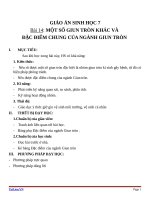 Giáo án Sinh học 7 bài 14: Một số giun tròn khác và đặc điểm chung của ngành giun tròn