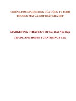  CHIẾN lược MARKETING của CÔNG TY TNHH THƯƠNG mại và nội THẤT NHÀ đẹp e 