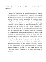  chiến lược marketing lập gian hàng bán đồ lưu niệm trực tuyến cho khách du lịch quốc tế)v 