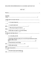  BẢNG PHÂN TÍCH mô HÌNH SWOT của NGÀNH DU LỊCH VIỆT NAM 