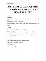 Giáo án Sinh học 7 bài 12: Một số giun dẹp khác và đặc điểm của ngành Giun dẹp