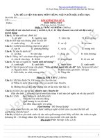 Các đề thi HSG môn TV cuối bậc tiểu học 