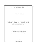 Giải pháp ứng phó với nhập cư ở Liên minh Châu Âu (LV thạc sĩ)