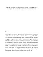  báo cáo NGHIÊN cứu về tác ĐỘNG của SUY THOÁI KINH tế TOÀN cầu tới môi TRƯỜNG KINH DOANH tại VIỆT NAM 