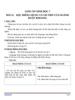 Giáo án Sinh học 7 bài 10: Đặc điểm chung và vai trò của ngành ruột khoang