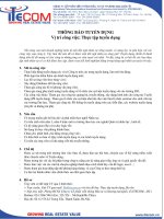 Thực tập sinh nhân sự 