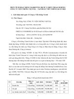  PHÂN TÍCH HOẠT ĐỘNG MARKETING DỊCH vụ điện THOẠI DI ĐỘNG CÔNG TY VIỄN THÔNG VIETTEL 