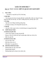 Giáo án Sinh học 7 bài 16: Thực hành mổ và quan sát giun đất
