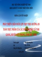 PHÁT TRIỂN CHĂN NUÔI lợn THỊT THEO HƯỚNG AN TOÀN THỰC PHẨM của các hộ NÔNG dân xã TAM GIANG, HUYỆN yên PHONG, TỈNH bắc NINH 