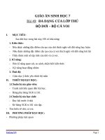 Giáo án Sinh học 7 bài 49: Đa dạng của lớp thú (tiếp theo) bộ dơi và bộ cá voi