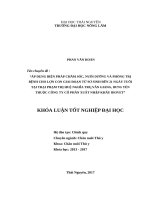 Áp dụng biện pháp chăm sóc, nuôi dưỡng và phòng trị bệnh cho lợn con, giai đoạn từ sơ sinh đến 21 ngày tuổi tại trại phạm thị huệ nghĩa trụ, văn giang, hưng yên thuộc công ty cổ phần xuất nhập khẩu biovet 