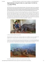 Nuôi loài lợn rừng ăn toàn cỏ, cây thuốc, 9x đút túi 15 triệu tháng   làm giàu bằng nghề nông