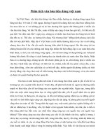   phân tích văn hóa tiêu dùng việt nam 