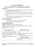 Giáo án Sinh học 7 bài 9: Đa dạng của ngành ruột khoang