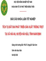 TÍCH tụ đất ĐAI PHÁT TRIỂN sản XUẤT TRỒNG TRỌT tại xã hải AN, HUYỆN hải hậu, TỈNH NAM ĐỊNH 