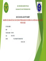 NGHIÊN cứu SINH kế của các hộ dân TRÊN địa bàn xã DƯƠNG xá, HUYỆN GIA lâm, THÀNH PHỐ hà nội 