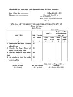 Báo cáo kết qủa hoạt động kinh doanh giữa niên độ_dạng tóm lược_QĐ.15_2006
