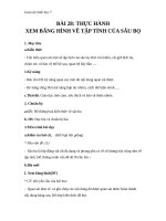 Giáo án Sinh học 7 bài 28: Thực hành xem băng hình về tập tính của sâu bọ