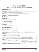 Giáo án Sinh học 7 bài 33: Cấu tạo trong của cá chép