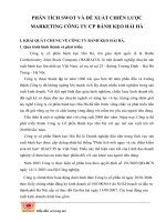  PHÂN TÍCH SWOT và đề XUẤT CHIẾN lược MARKETING CÔNG TY CP BÁNH kẹo hải hà 