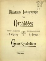 Dictionnaire Iconographique des Orchidées Cymbidium