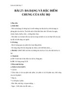 Giáo án Sinh học 7 bài 27: Đa dạng và đặc điểm chung của lớp sâu bọ