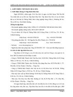 chiến lược kinh doanh của tập đoàn hoa sen 2013 2020 