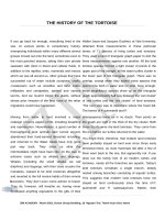 IELTS academic reading sample 50   a neuroscientist reveals how to think differently   copy 