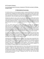 IELTS academic reading 4 