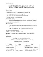 Giáo án Sinh học 7 bài 36: Thực hành quan sát cấu tạo trong của ếch đồng trên mẫu mổ