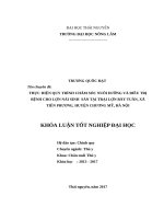 Thực hiện quy trình chăm sóc nuôi dưỡng và phòng trị bệnh cho lợn nái sinh sản tại trại lợn bảy tuân, chương mỹ   hà nội 