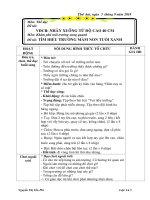 GIÁO ÁN TUẦN 1-TRƯỜNG MẦM NON TUỔI XANH