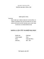 Thực hiện quy trình chăm sóc nuôi dưỡng và phòng trị bệnh cho lợn nái sinh sản tại trại chăn nuôi lợn nguyễn thanh lịch, xã ba trại   huyện ba vì   thành phố hà nội 